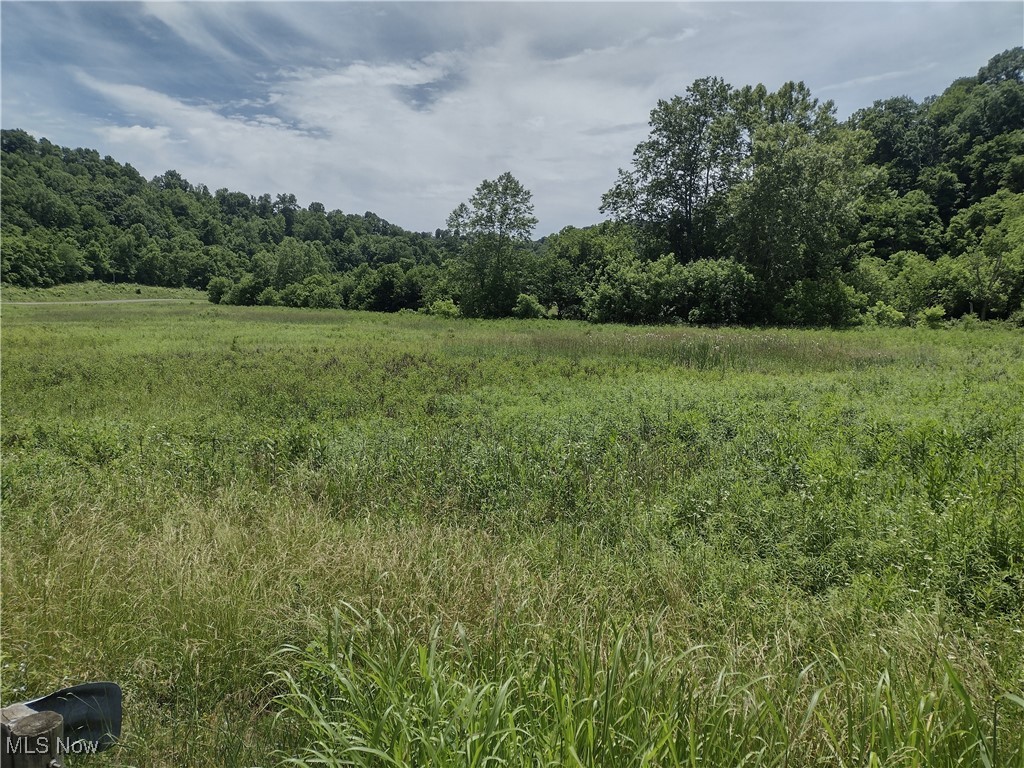 Road Fork Road, Caldwell, Ohio image 16