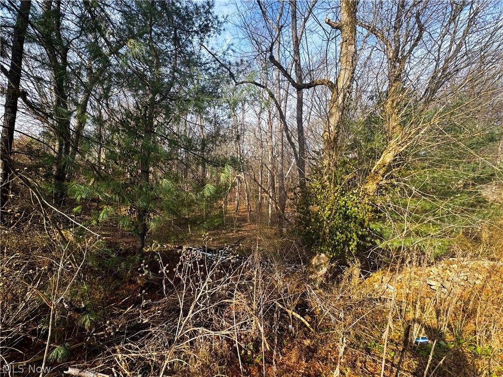 Photo of 0 Bohl Drive, Marietta, OH 45750 (MLS # 5193009)