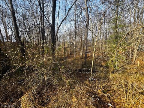 Vacant Land For Sale - Bohl Drive<br/> Marietta, OH 45750
