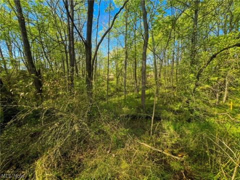 Vacant Land For Sale - Bohl Drive<br/> Washington County, Marietta, OH 45750