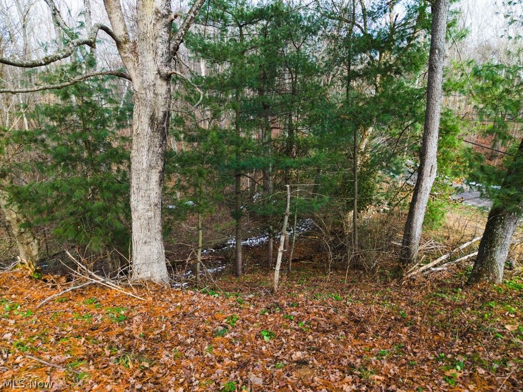 Photo of 0 Bohl Drive, Marietta, OH 45750 (MLS # 5193009)