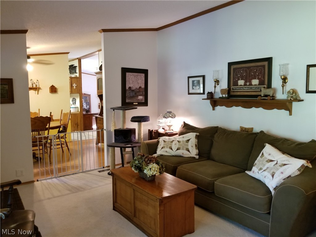 Mont Mere Colony Sub - Residential