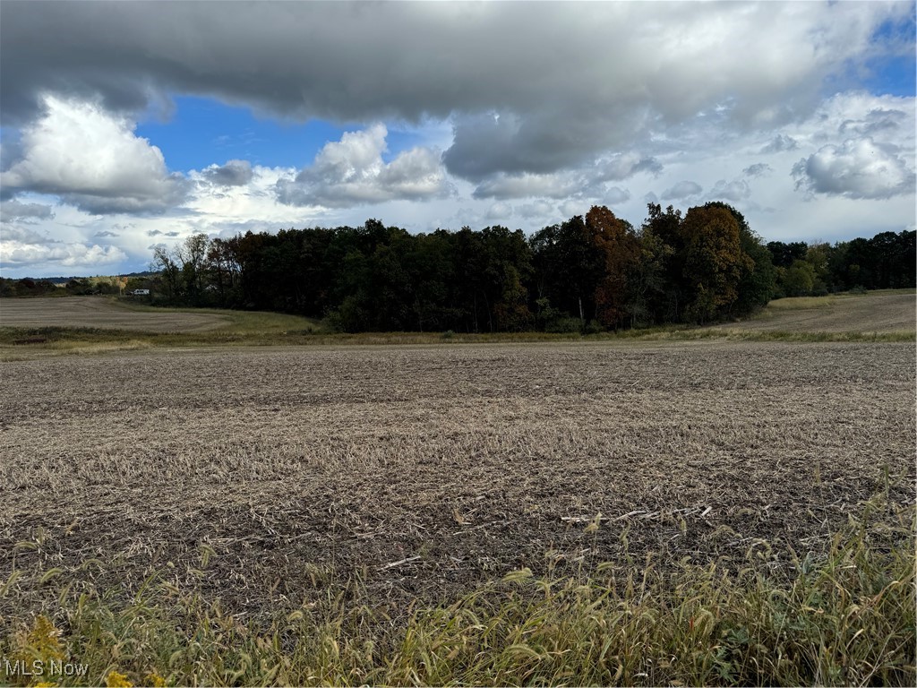 Township Road 336, Millersburg, Ohio image 1