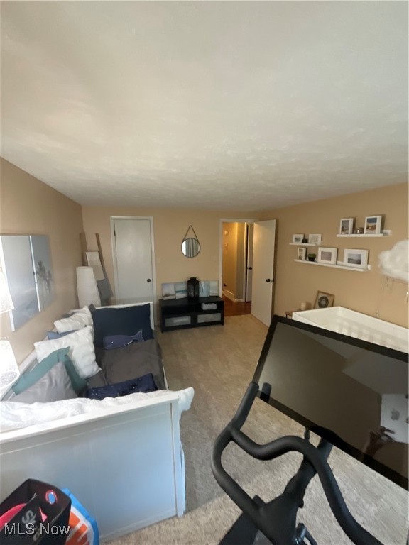 Woods/Brecksville Condo - Residential