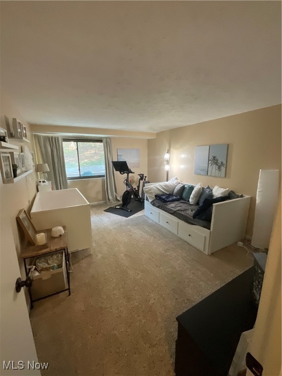 Woods/Brecksville Condo - Residential