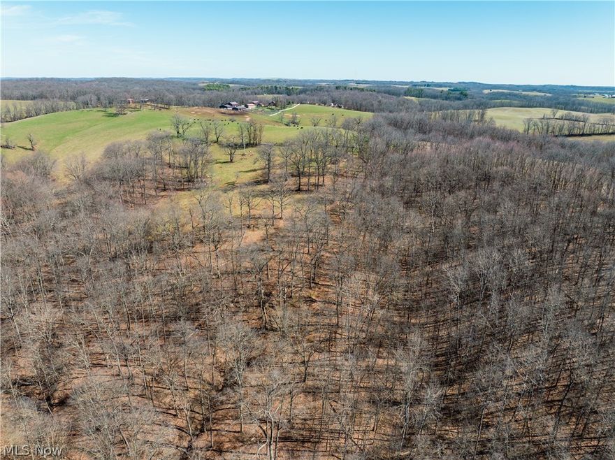 LIVE AUCTION SATURDAY APRIL 25TH! Equipment at 10am * Real Estate at 12 noon. Parcel 4: 28.2+/- acres w/ 50’ frontage. Open and wooded
151+/- ACRE COUNTRY ESTATE — FOUR PARCELS, ENDLESS POSSIBILITIES
Discover privacy, beauty, and functionality on this remarkable 151+/- acre property offered in four parcels. Whether you're seeking a private homestead, an equestrian or livestock operation, recreational land, or building sites, this estate provides space and versatility rarely found in one offering. A well maintained 4-bedroom, 2.5-bath brick home overlooks rolling hills and fenced pastures. Inside, you’ll find spacious living areas, a large first-floor primary suite, convenient first-floor laundry, and a kitchen offering abundant cabinetry. Just outside, a detached garage with a full bath leads to an inviting in-ground swimming pool—perfect for warm weather enjoyment. Large-acreage estates with this level of infrastructure are increasingly rare.
Parcel 4: 28.2+/- acres w/ 50’ frontage. Open and wooded