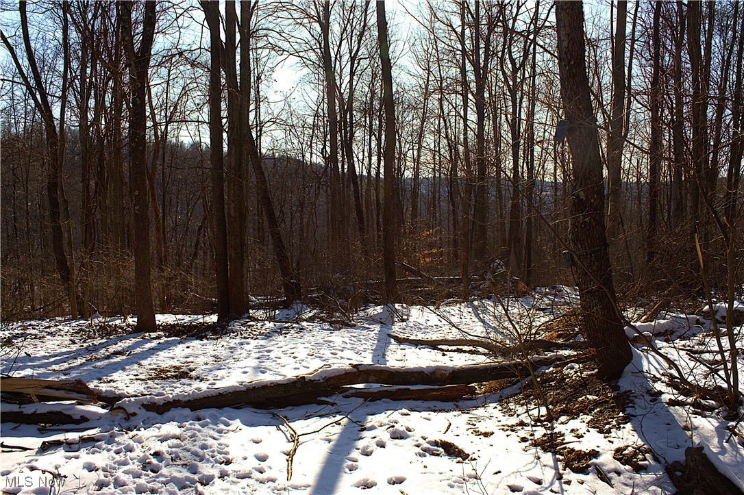 Earley Road, Kimbolton, Ohio image 4
