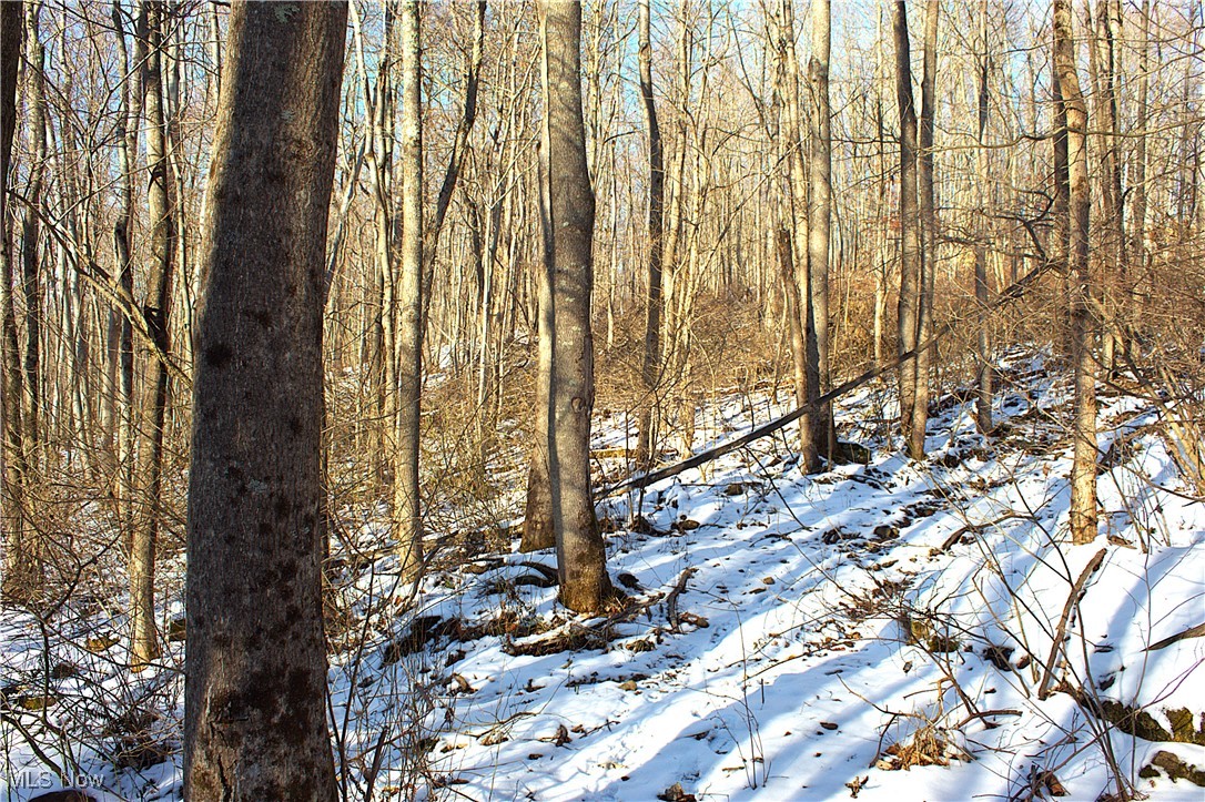 Earley Road, Kimbolton, Ohio image 15