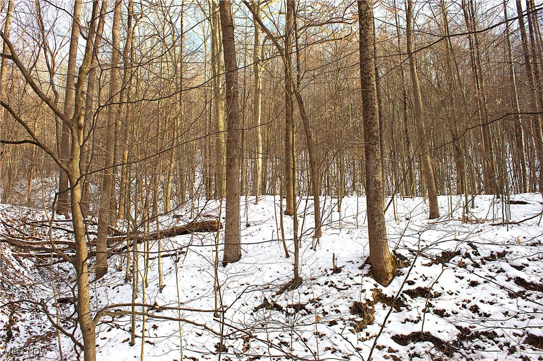 Earley Road, Kimbolton, Ohio image 24