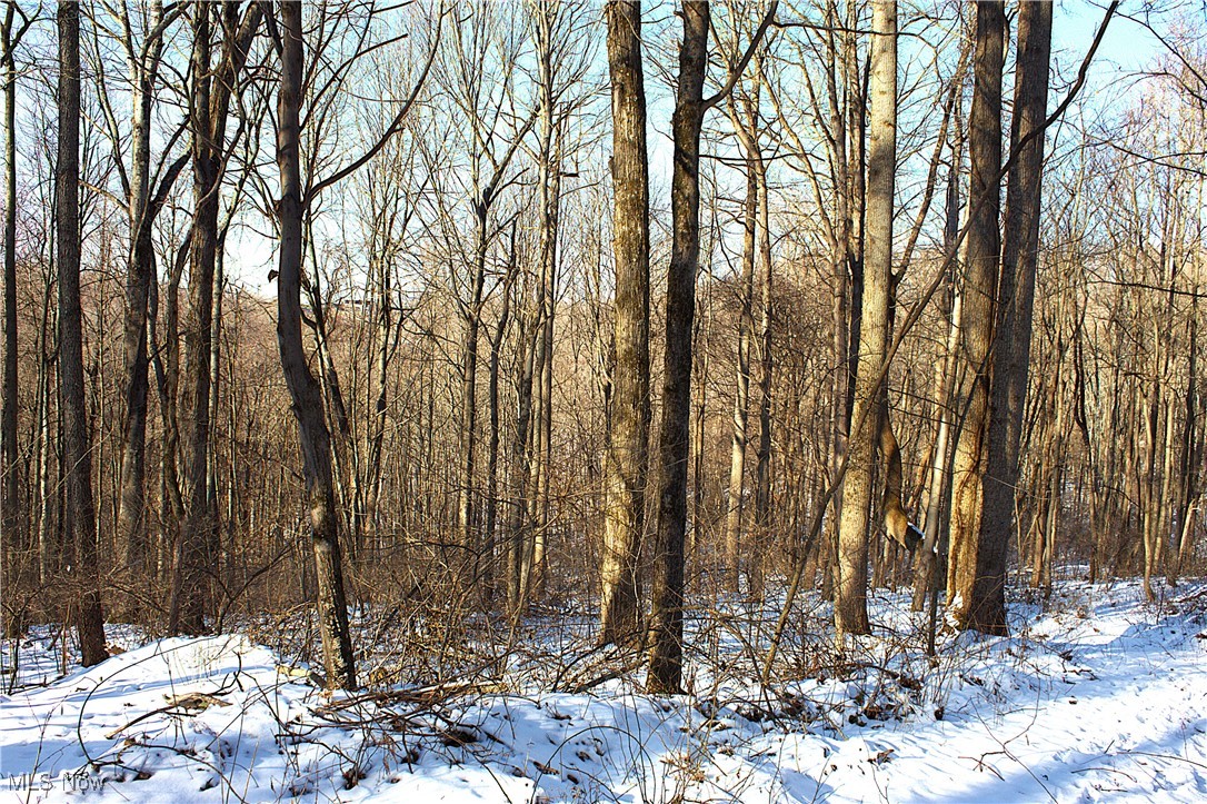 Earley Road, Kimbolton, Ohio image 20