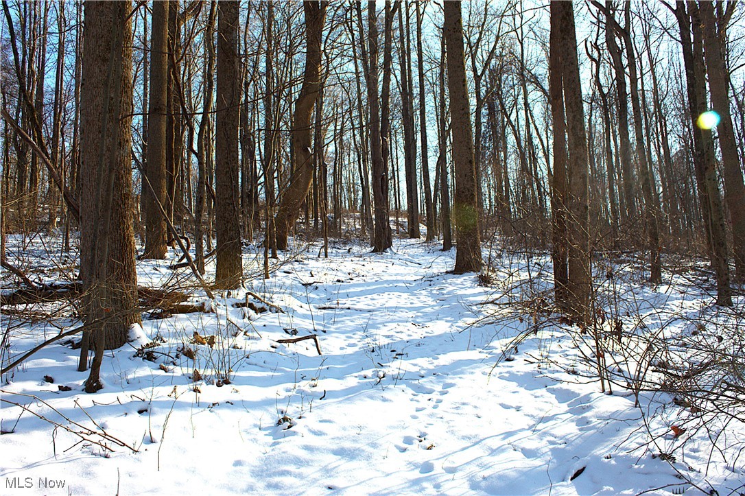 Earley Road, Kimbolton, Ohio image 17