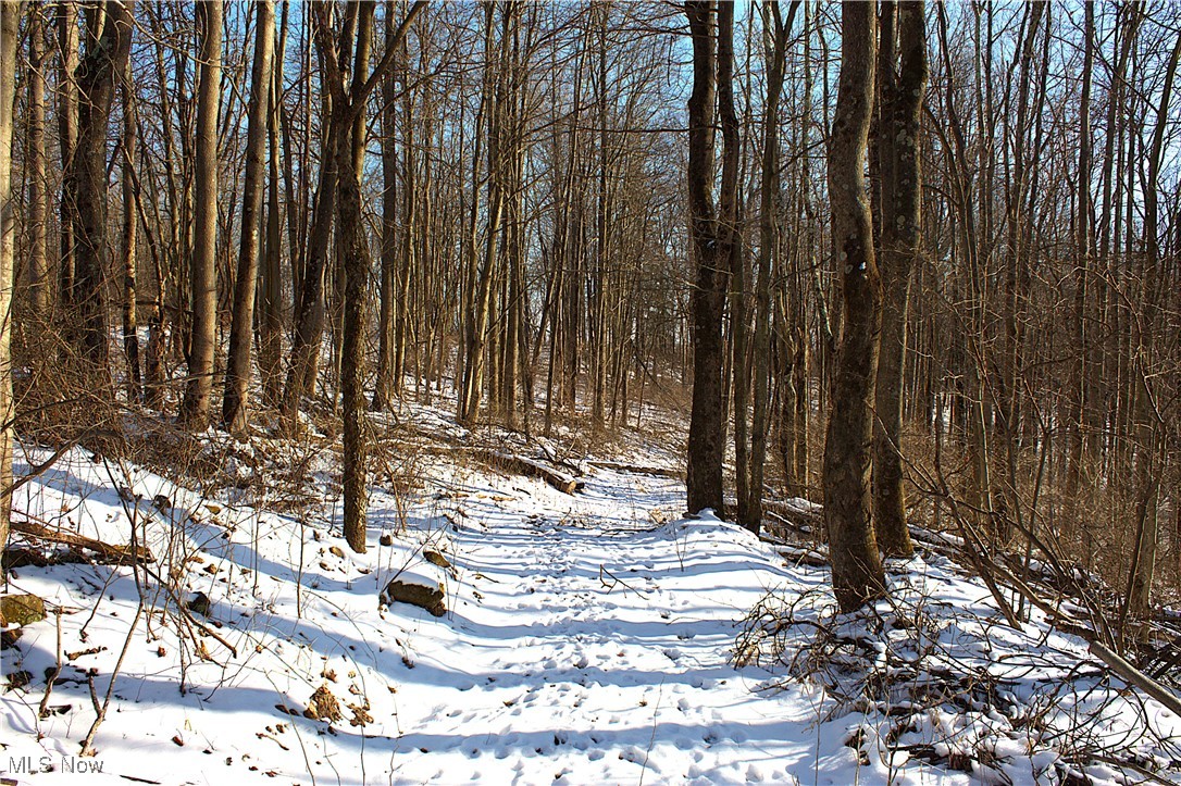 Earley Road, Kimbolton, Ohio image 10
