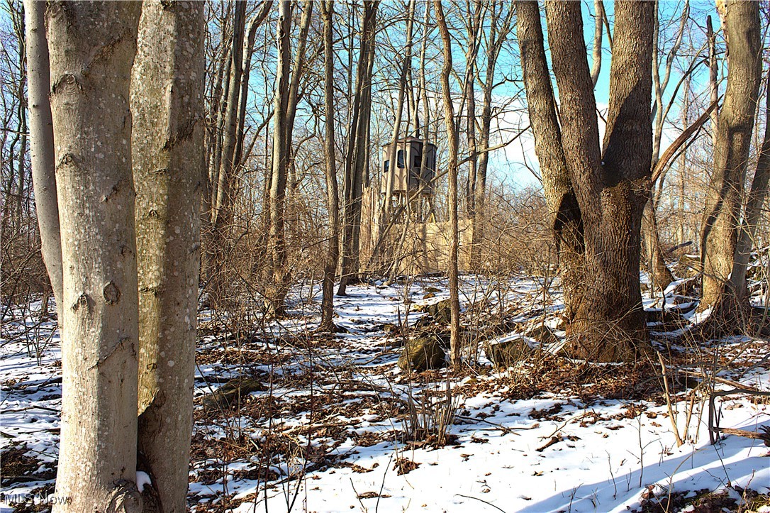 Earley Road, Kimbolton, Ohio image 7