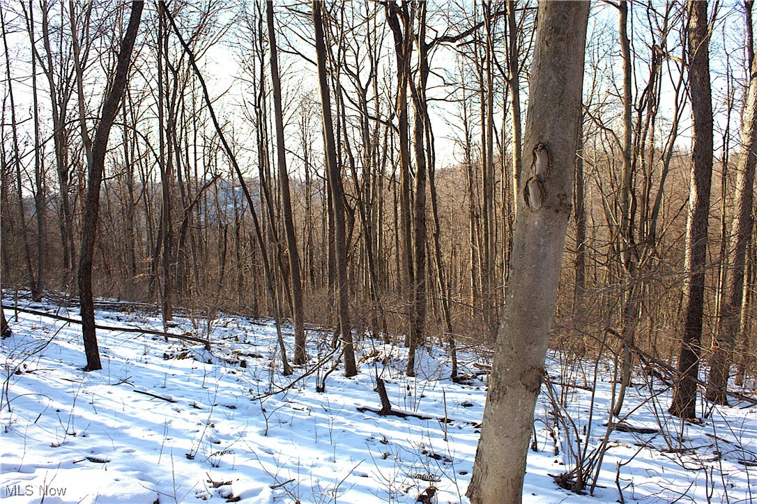 Earley Road, Kimbolton, Ohio image 21