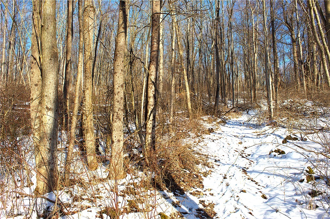 Earley Road, Kimbolton, Ohio image 14