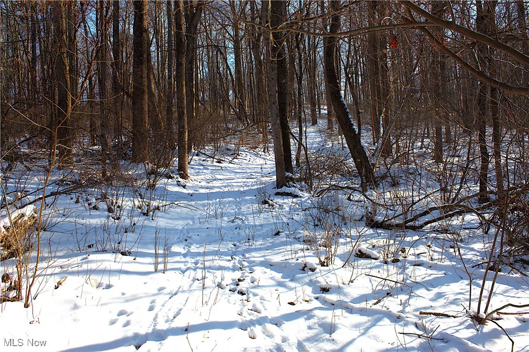 Earley Road, Kimbolton, Ohio image 16