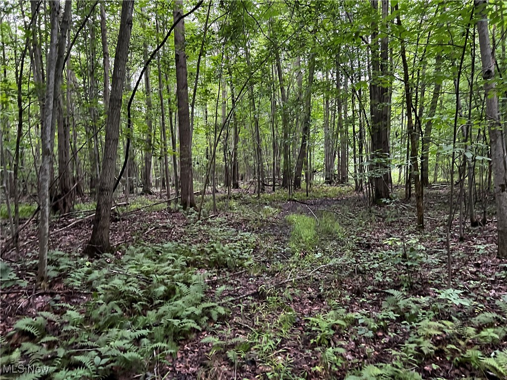 Hines Road, Kingsville, Ohio image 38