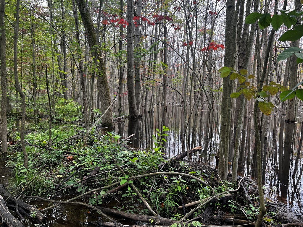 Hines Road, Kingsville, Ohio image 36