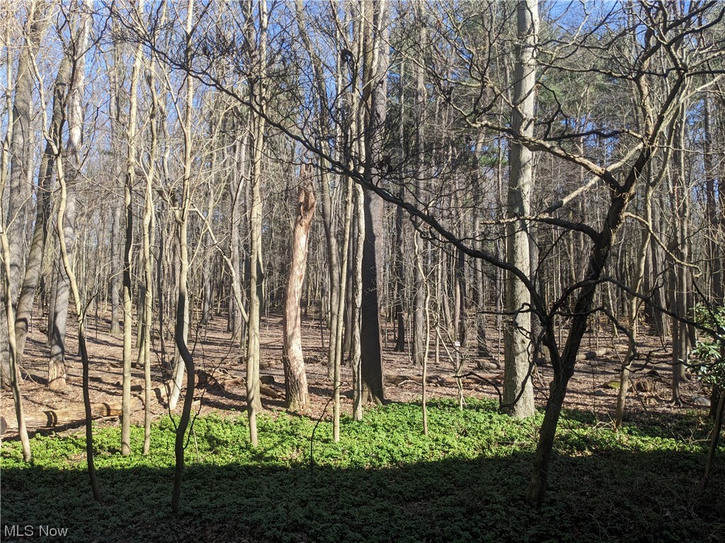 Silver Lake Towers Condo - Residential