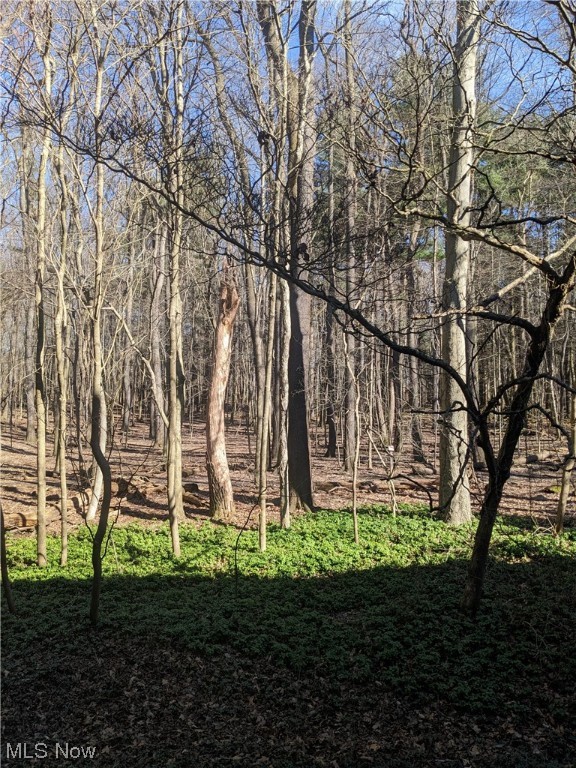 Silver Lake Towers Condo - Residential