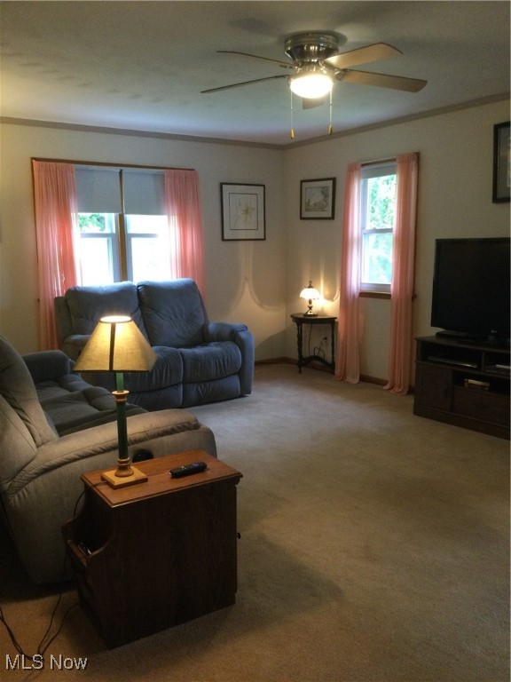 1009 Township Road 2156, Ashland, Ohio image 13