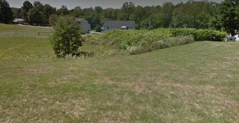 Vacant Land For Sale - Springdale Avenue<br/> Jefferson County, Wintersville, OH 43953