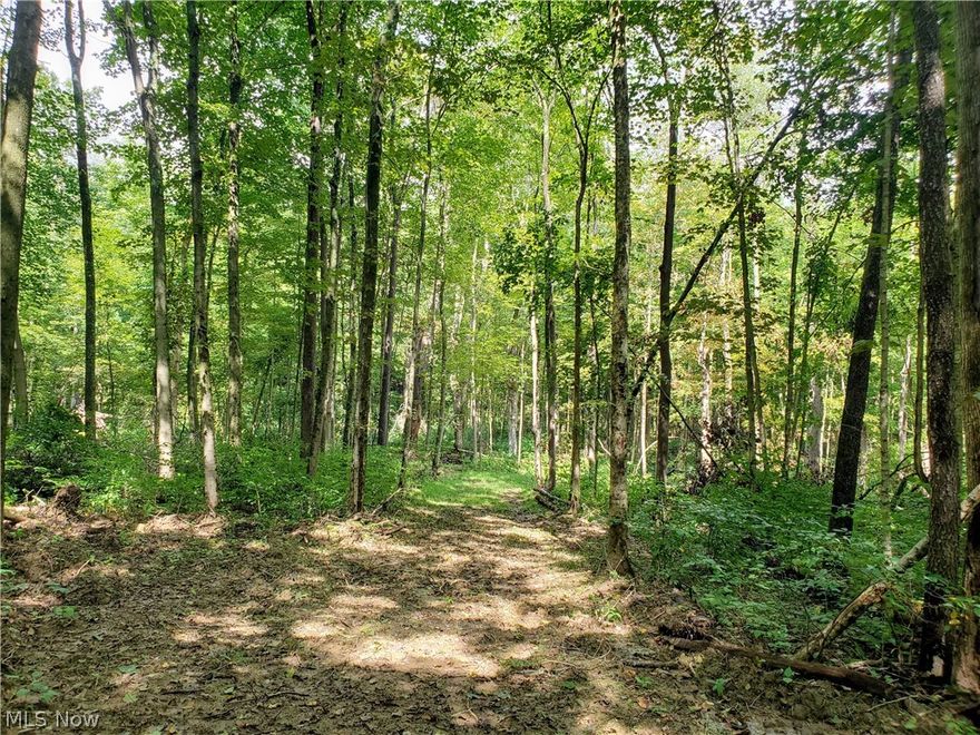 10 acres for sale only 20 minutes from Sugarcreek!  Beautiful potential building sites.  Creek runs through the property.  Paved road.  Excellent hunting or recreational land.  8.52 acres on one side of the road and 1.56 acres on the other side.  Mostly wooded.  Wide trails throughout.  Electric at the road.  A lot of road frontage.  Select mature timber was recently harvested.  Mineral rights will transfer to new owner.