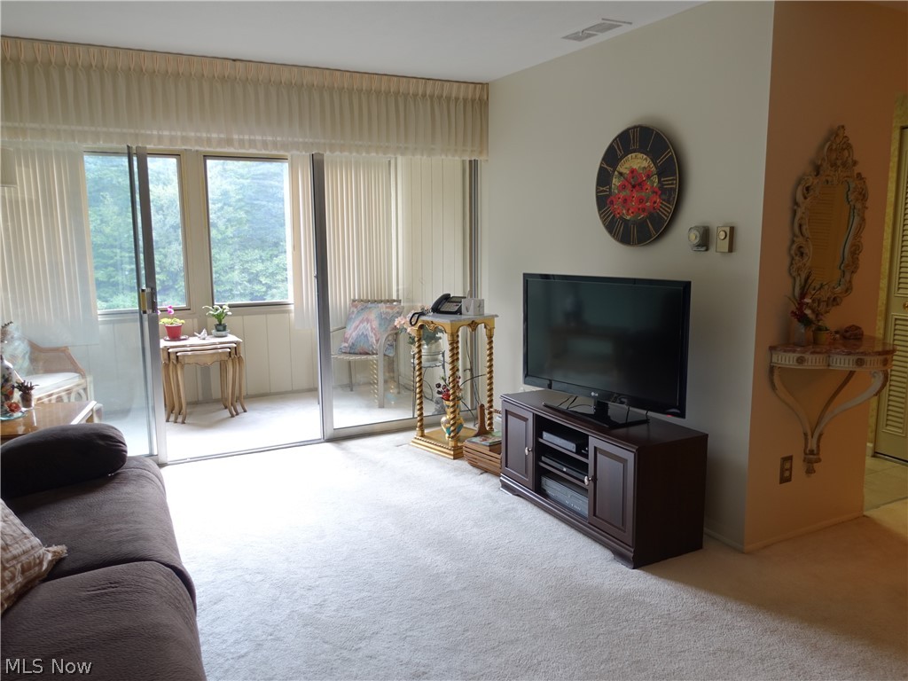Silver Lake Towers Condo - Residential