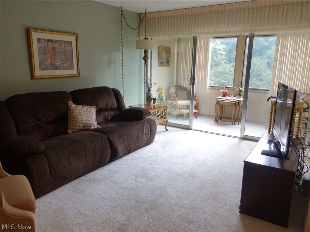 Silver Lake Towers Condo - Residential