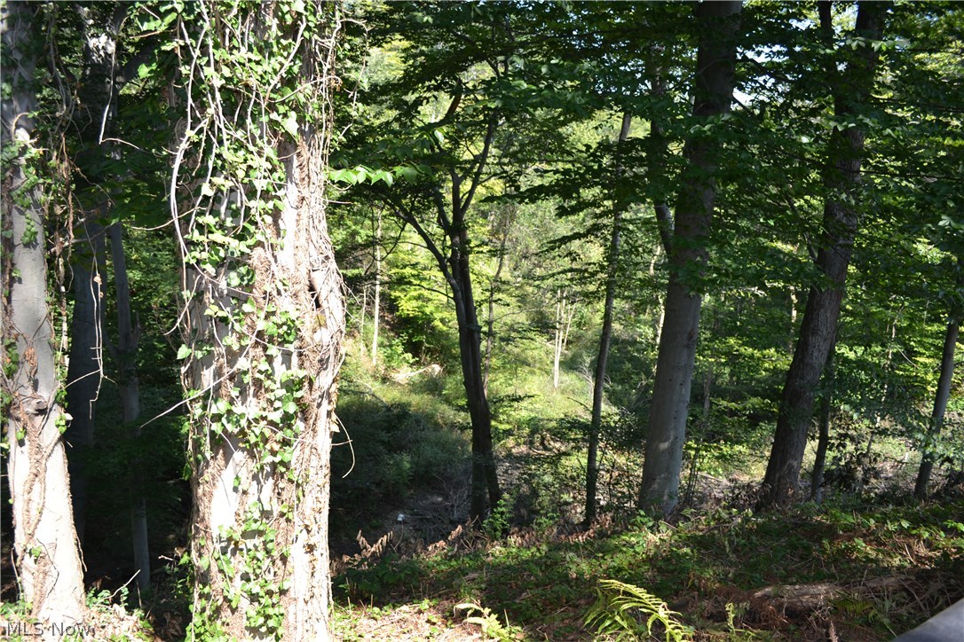 Hitchcock Estates - Residential