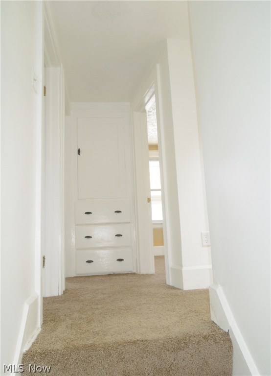 Wayne Park - Residential