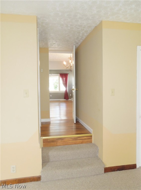 Wayne Park - Residential