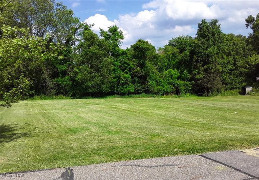 Floyd Street, Wintersville, Ohio image 4
