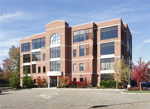 822 Kumho Drive 102 Fairlawn OH 44333