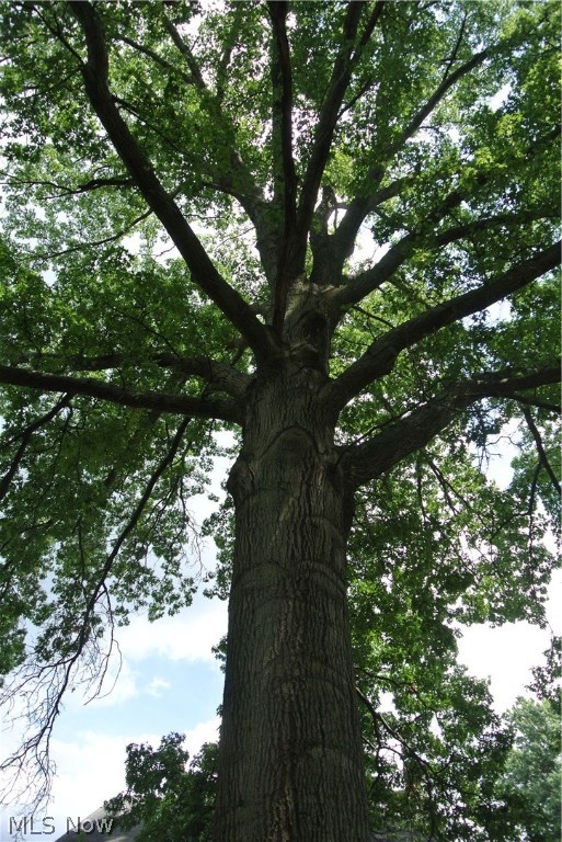 Trail Road - Residential