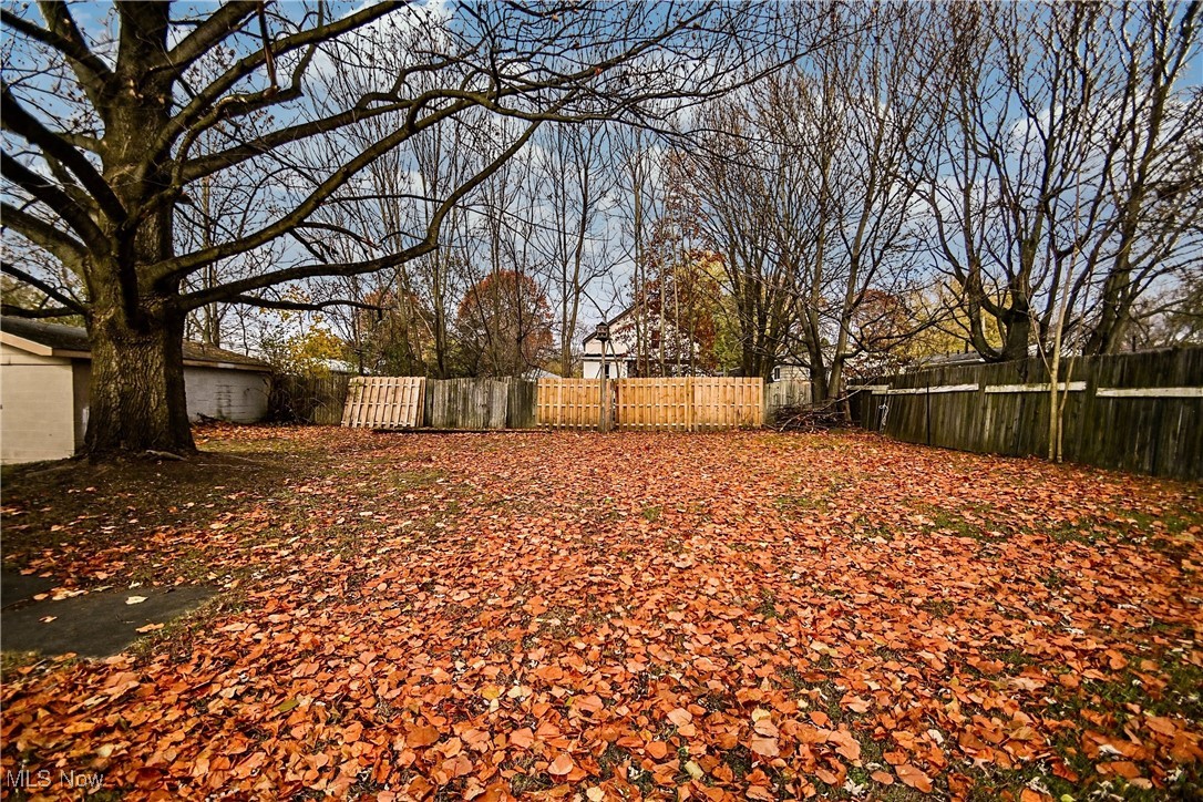 Wooster Ave Allotment - Residential
