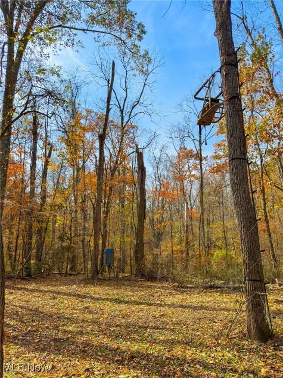 65775 Wilderness Lane, Quaker City, Ohio image 37