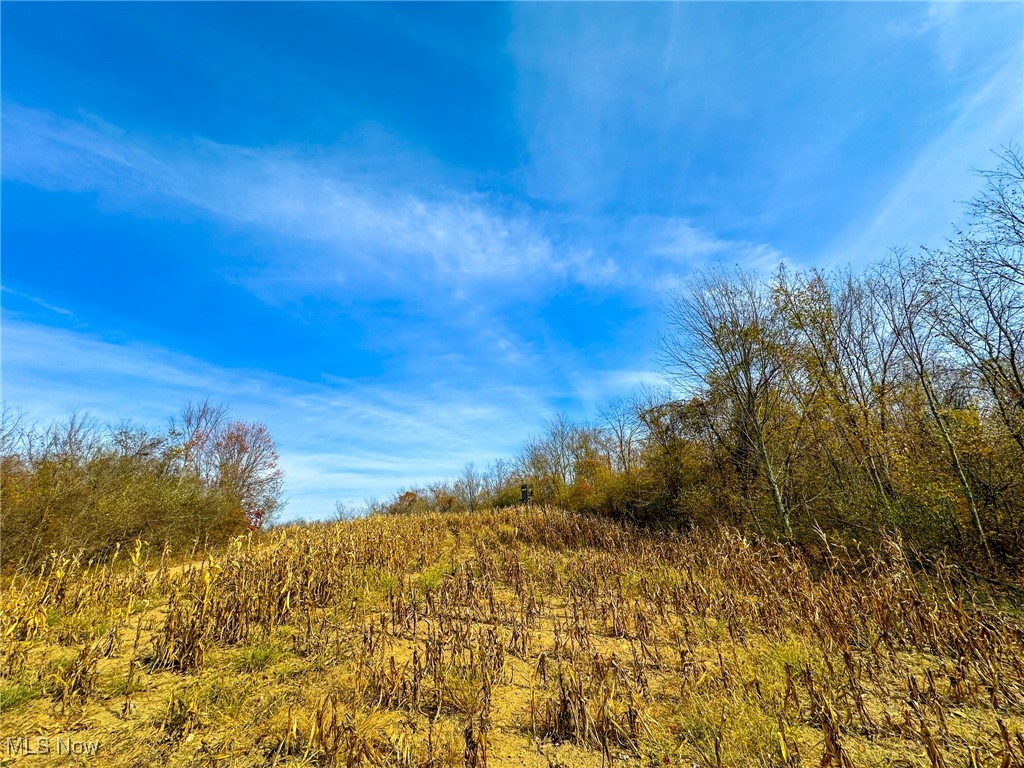 65775 Wilderness Lane, Quaker City, Ohio image 31