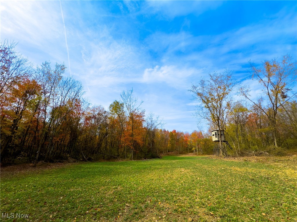 65775 Wilderness Lane, Quaker City, Ohio image 26