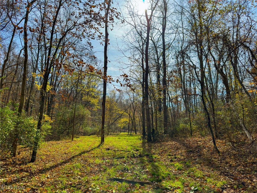 65775 Wilderness Lane, Quaker City, Ohio image 39