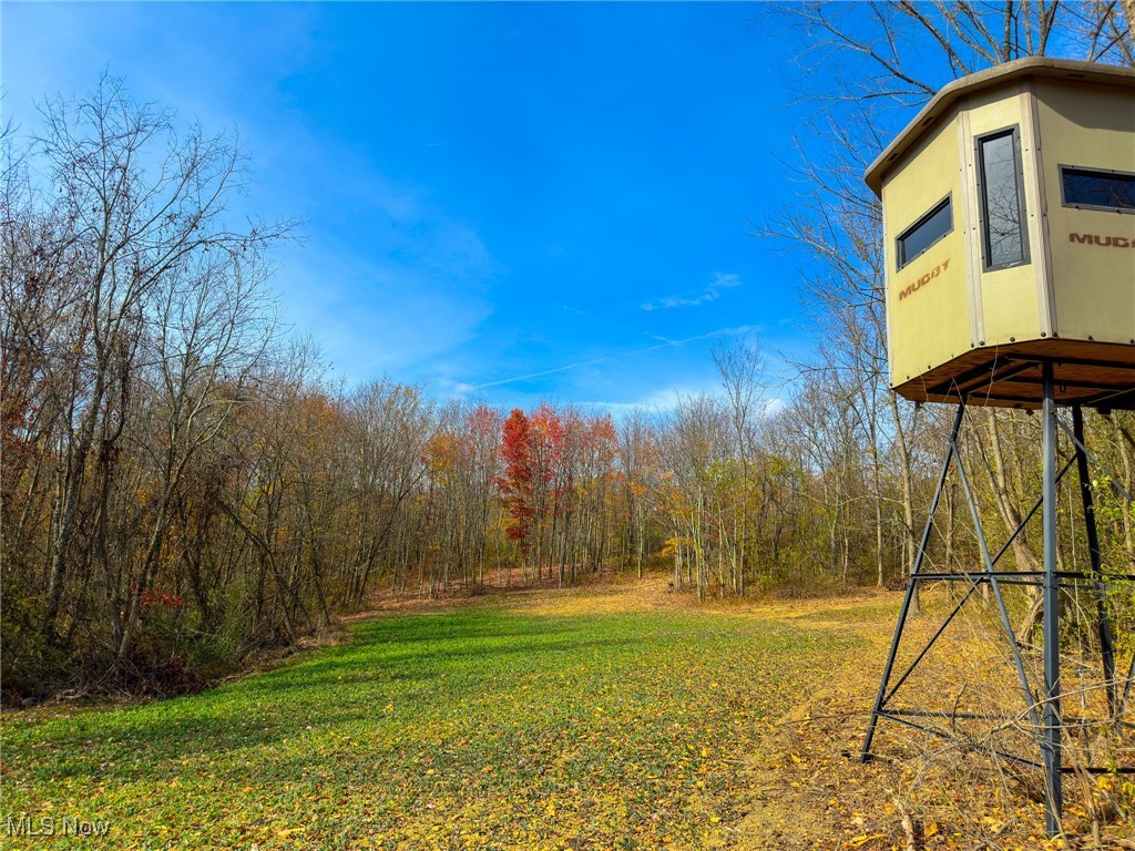 65775 Wilderness Lane, Quaker City, Ohio image 25