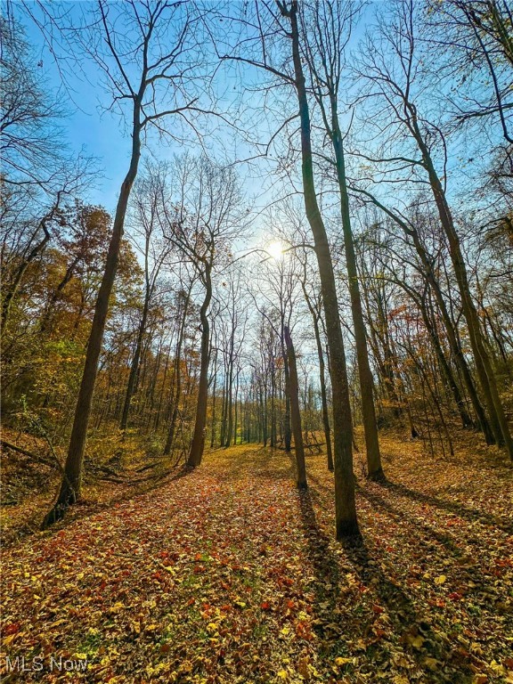 65775 Wilderness Lane, Quaker City, Ohio image 38