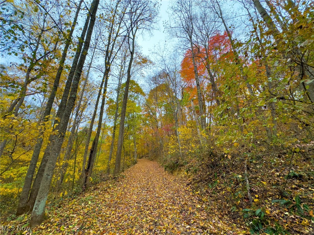 65775 Wilderness Lane, Quaker City, Ohio image 36