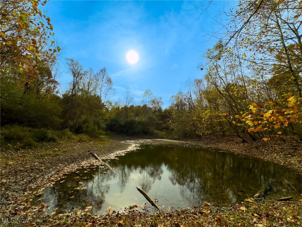 65775 Wilderness Lane, Quaker City, Ohio image 33