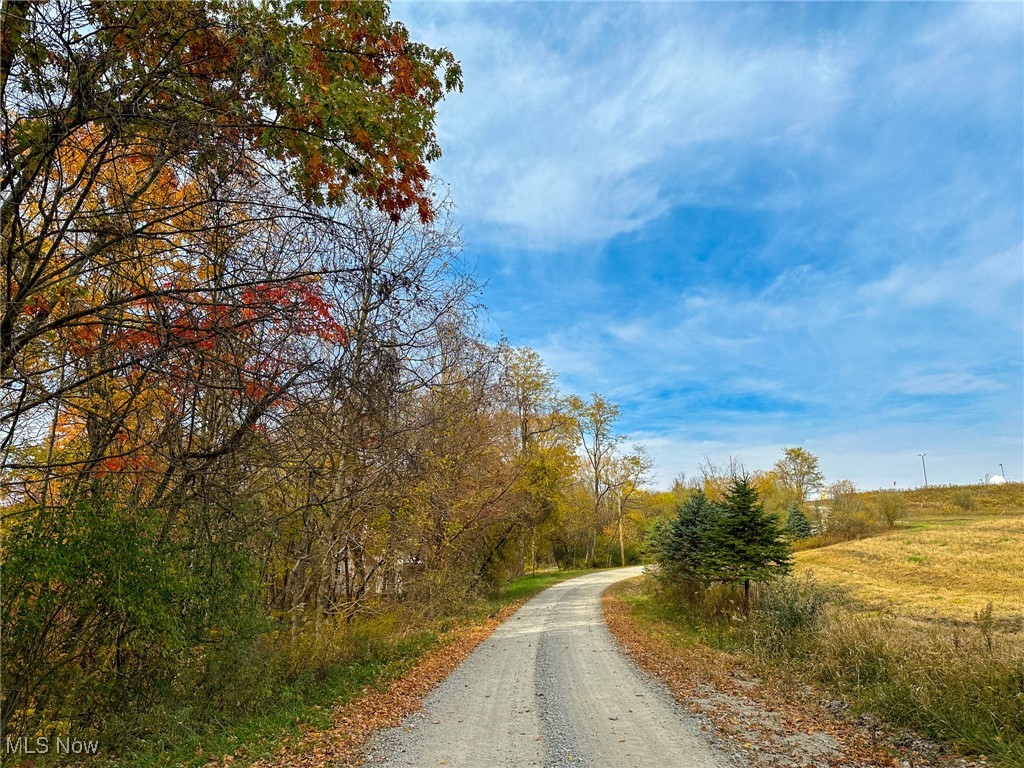 65775 Wilderness Lane, Quaker City, Ohio image 6