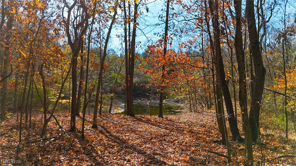 65775 Wilderness Lane, Quaker City, Ohio image 32