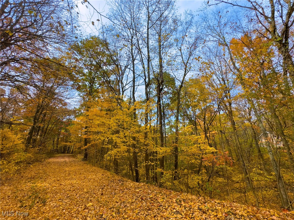 65775 Wilderness Lane, Quaker City, Ohio image 21