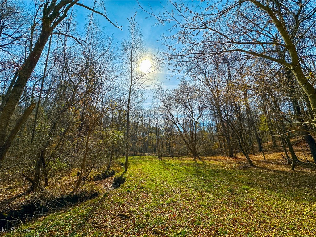 65775 Wilderness Lane, Quaker City, Ohio image 40