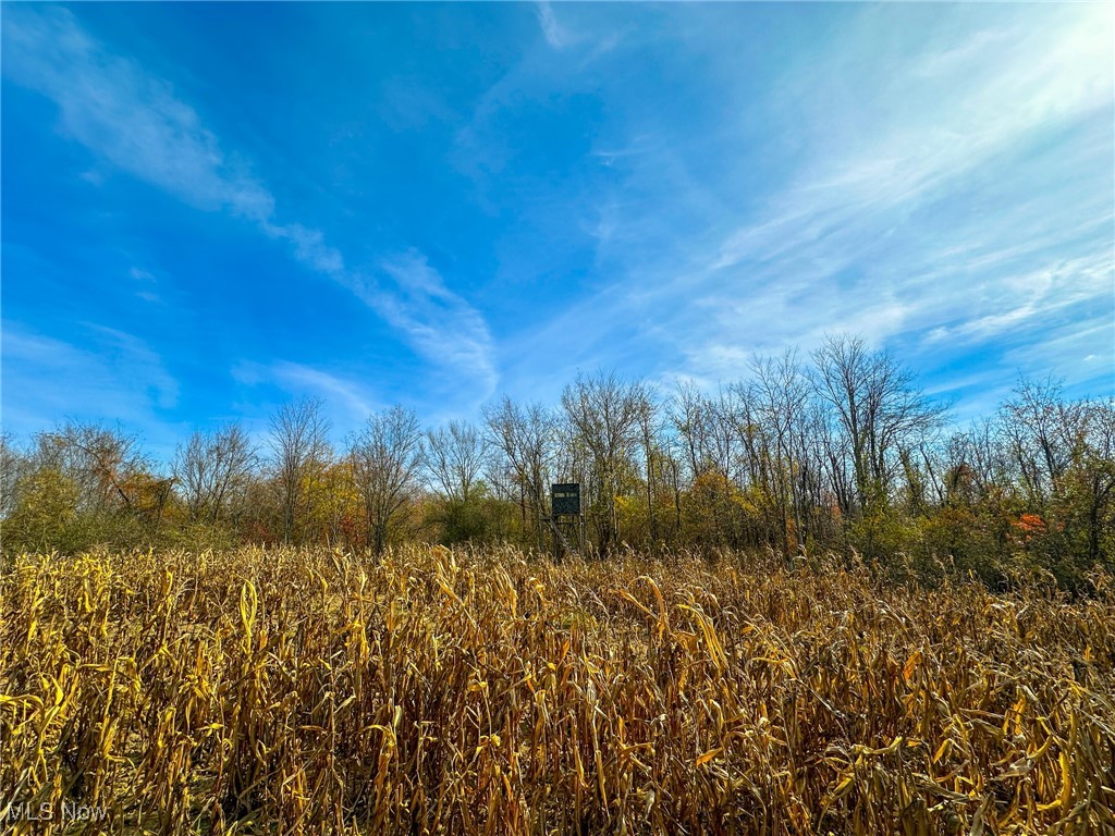 65775 Wilderness Lane, Quaker City, Ohio image 30