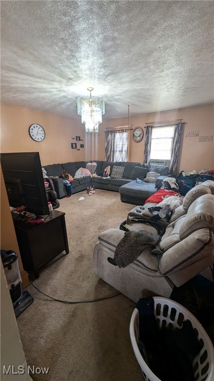 John Mccarts Allotment - Residential